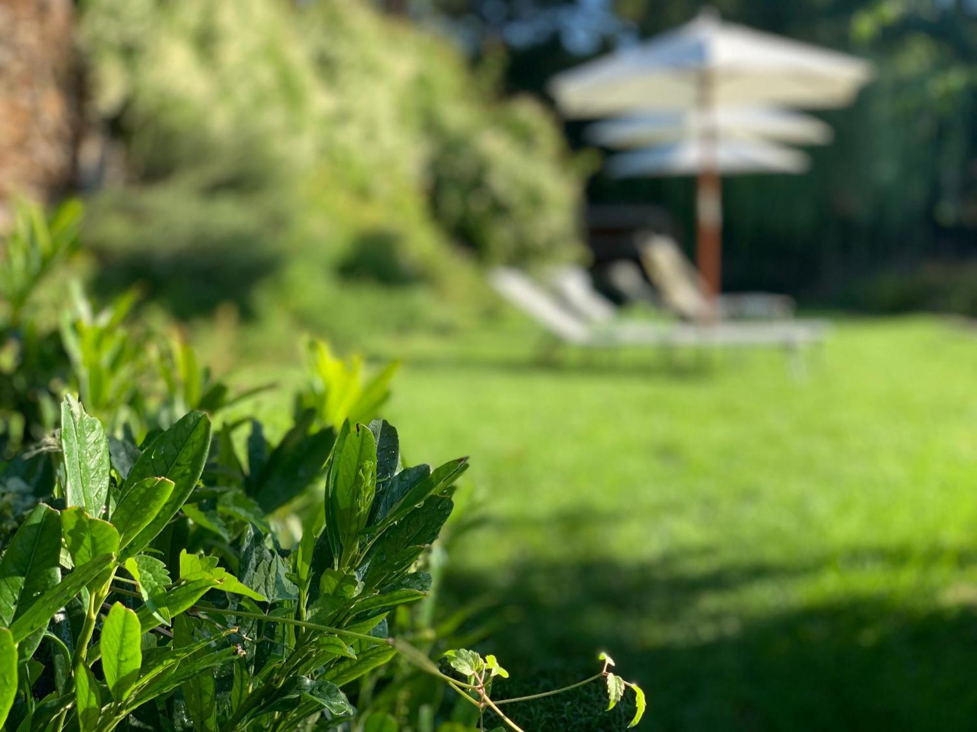 Hotel Landhaus Moserhof Gumpoldskirchen Kültér fotó